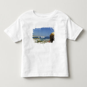 Camiseta De Bebé Norteamérica, México, Estado de Baja California 2