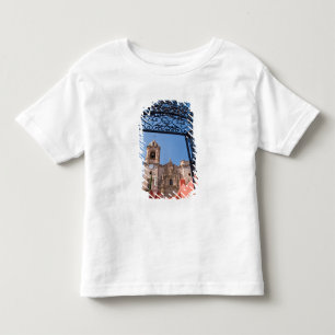 Camiseta De Bebé Norteamérica, México, Estado de Guanajuato. La