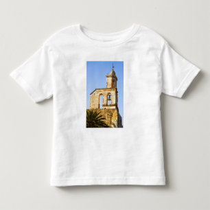 Camiseta De Bebé Norteamérica, México, estado de Guanajuato, San