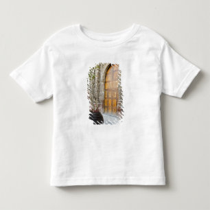 Camiseta De Bebé Norteamérica, México, estado de Guanajuato, San 3