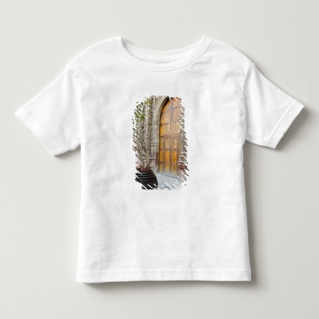 Camiseta De Bebé Norteamérica, México, estado de Guanajuato, San 3 (Anverso)