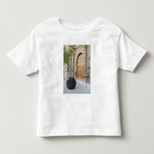 Camiseta De Bebé Norteamérica, México, estado de Guanajuato, San 3
