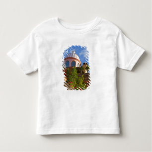 Camiseta De Bebé Norteamérica, México, estado de Guanajuato, San 4