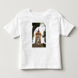 Camiseta De Bebé Norteamérica, México, estado de Guanajuato, San 5