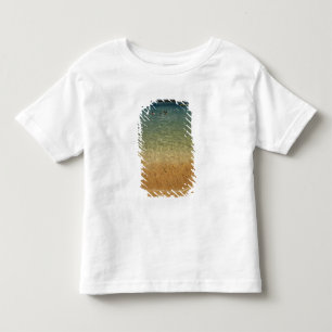 Camiseta De Bebé Norteamérica, México, Estado de Guerrero, Ixtapa