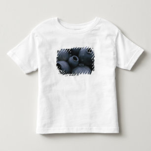 Camiseta De Bebé Norteamérica, México, Oaxaca, San Bartolo