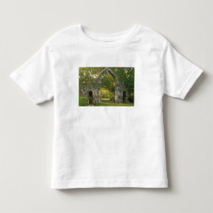 Camiseta De Bebé Norteamérica, México, Península de Yucatán,