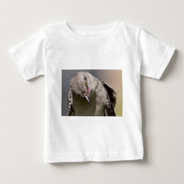 Camiseta De Bebé Northern Mockingbird toma ropa de vaca y regalos (Anverso)