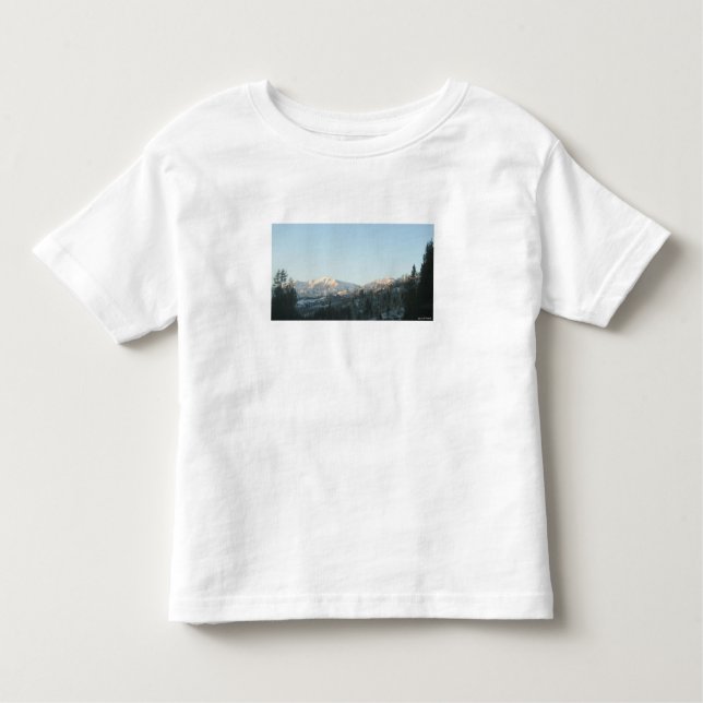Camiseta De Bebé Northern Rocky Mountain Forest (Anverso)