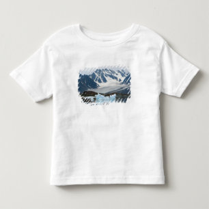 Camiseta De Bebé Noruega, glaciar en retroceso e iceberg