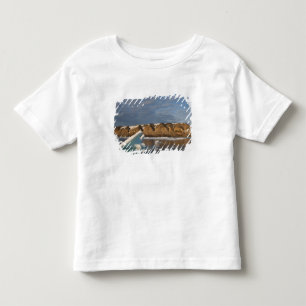 Camiseta De Bebé Noruega, Svalbard, Isla Spitsbergen, Atardecer