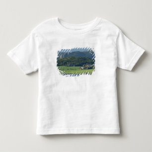 Camiseta De Bebé Noruega, Trondheimsforden, Trondheim. Típico