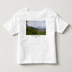 Camiseta De Bebé Nublada En Denali