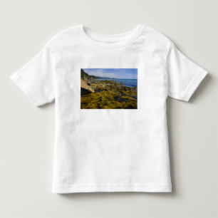 Camiseta De Bebé Nueva Zelanda, Southland, Isla Stewart. Kelp