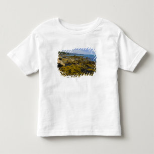 Camiseta De Bebé Nueva Zelanda, Southland, Isla Stewart. Kelp