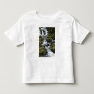 Camiseta De Bebé Nuevo Brunswick, Canadá. Dickson Falls en Fundy