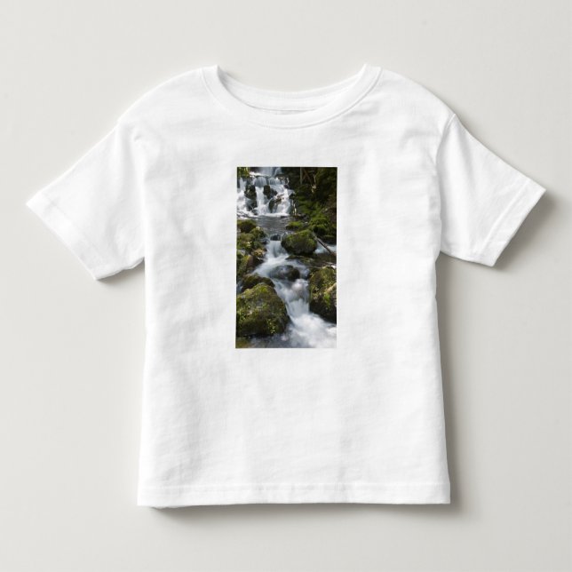 Camiseta De Bebé Nuevo Brunswick, Canadá. Dickson Falls en Fundy (Anverso)