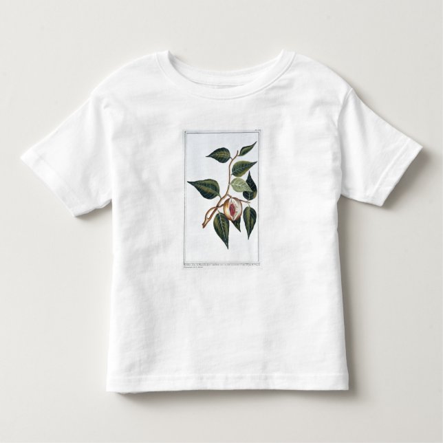 Camiseta De Bebé Nuez moscada moscada, placa 7, de la 'colección (Anverso)