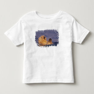 Camiseta De Bebé Nutrias marinas, Enhydra lutris 2