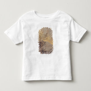 Camiseta De Bebé Observaciones astronómicas 2