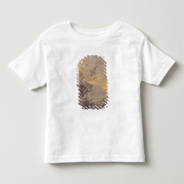 Camiseta De Bebé Observaciones astronómicas 2 (Anverso)