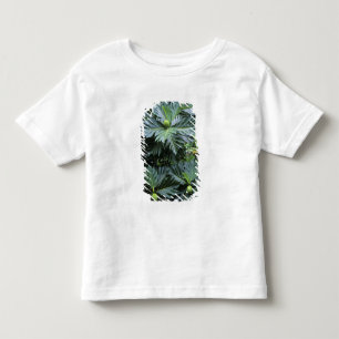 Camiseta De Bebé Oceanía, Pacífico Sur, Polinesia Francesa,