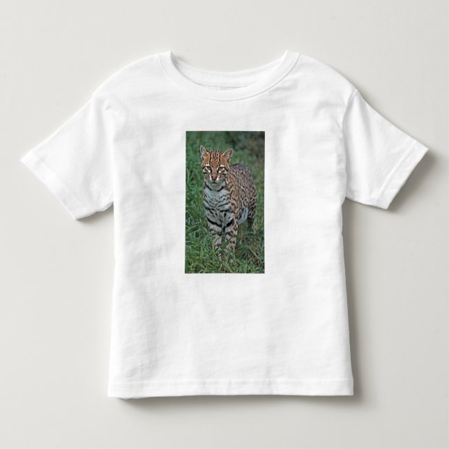 Camiseta De Bebé OCELOT Leopardus pardalis) CENTROAMÉRICA (Anverso)