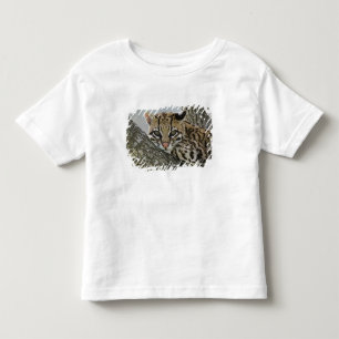 Camiseta De Bebé Ocelote, Felis pardalis, cautivo, hembra descansan