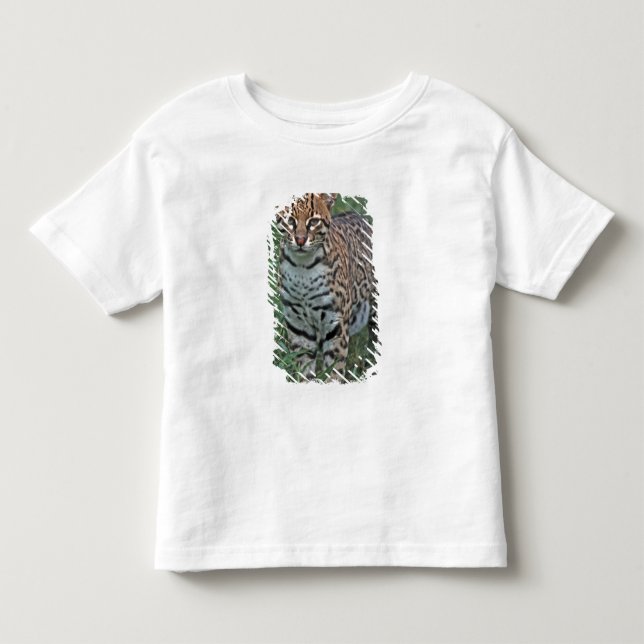 Camiseta De Bebé OCELOTE (Leopardus pardalis) AMÉRICA CENTRAL (Anverso)