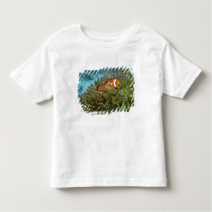 Camiseta De Bebé Oeste Clownfish ( Anphiprion ocellaris )