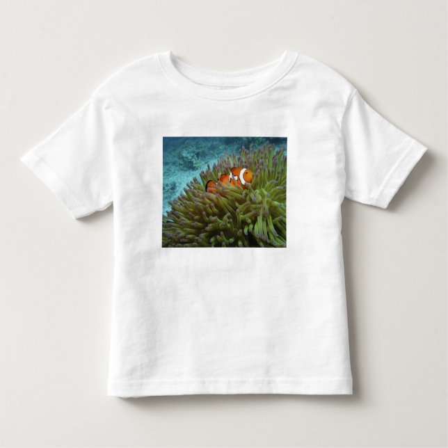 Camiseta De Bebé Oeste Clownfish ( Anphiprion ocellaris ) (Anverso)