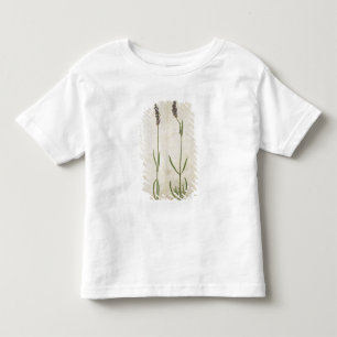Camiseta De Bebé Officinalis del Lavandula (lavanda inglesa vieja),