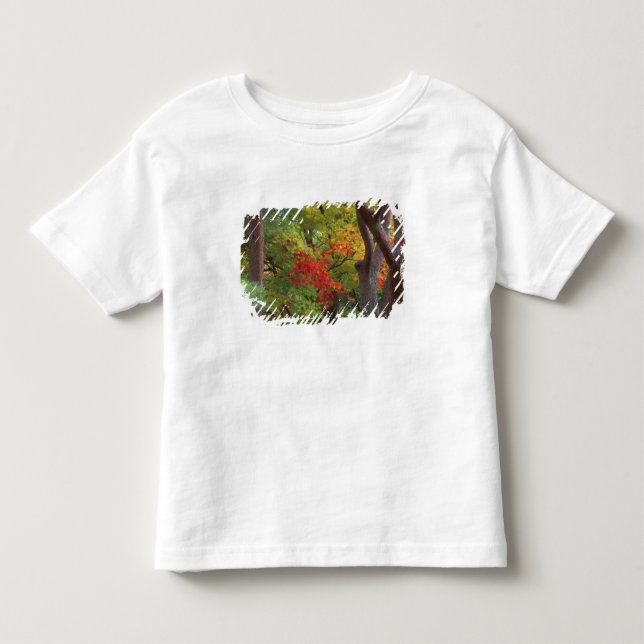 Camiseta De Bebé Okochi Sanso, Arashiyama, Kyoto, Japón 5 (Anverso)