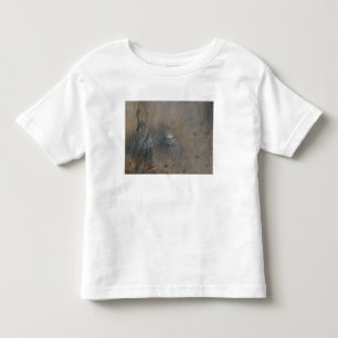 Camiseta De Bebé Ol Doinyo Langai en Tanzania