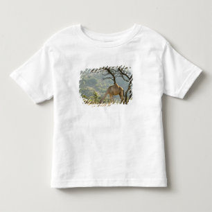 Camiseta De Bebé Omán, región de Dhofar, Salalah. Camello