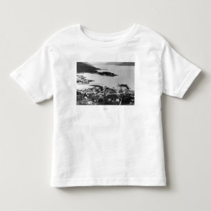 Camiseta De Bebé Opinión de la ciudad de Wrangell, fotografía de