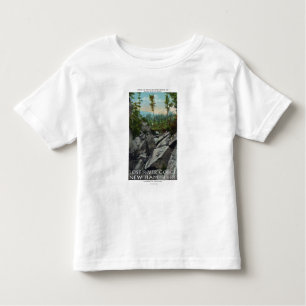 Camiseta De Bebé Opinión de la entrada de una garganta glacial