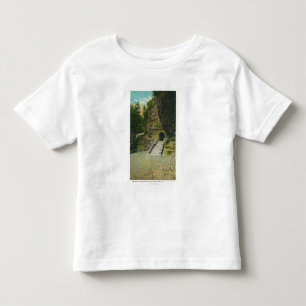 Camiseta De Bebé Opinión de la entrada del Amphitheatre