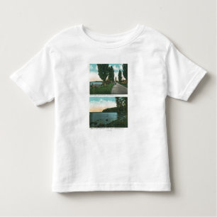 Camiseta De Bebé Opinión de la impulsión de Champlain del lago