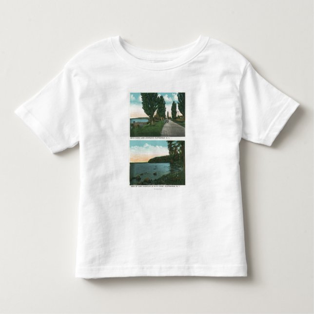 Camiseta De Bebé Opinión de la impulsión de Champlain del lago (Anverso)