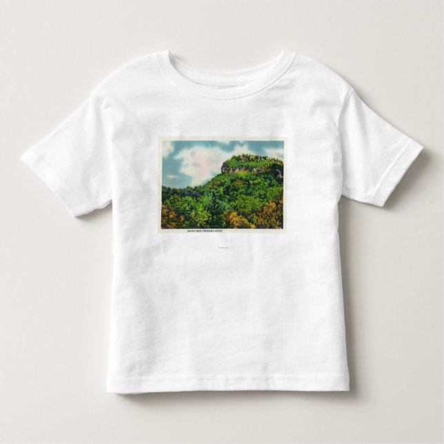 Camiseta De Bebé Opinión de parque de estado de la muesca de (Anverso)