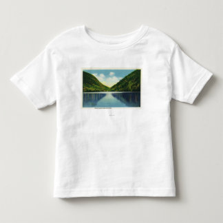 Camiseta De Bebé Opinión de parque de estado de la muesca de