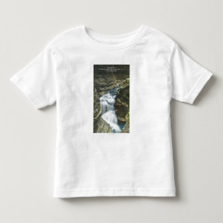 Camiseta De Bebé Opinión de parque de estado de las caídas del