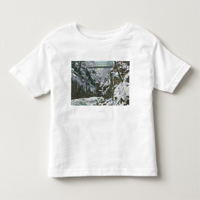 Camiseta De Bebé Opinión de puente colgante de la garganta del (Anverso)