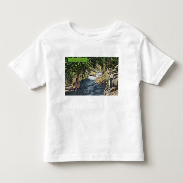 Camiseta De Bebé Opinión del barranco de Capilano de la piscina de (Anverso)