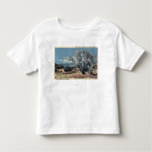Camiseta De Bebé Opinión del Mt. San Gorgonio, árboles de humo