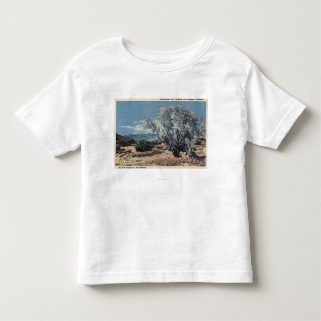 Camiseta De Bebé Opinión del Mt. San Gorgonio, árboles de humo (Anverso)