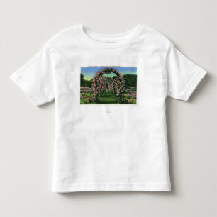 Camiseta De Bebé Opinión del parque de Elizabeth de los arcos colo