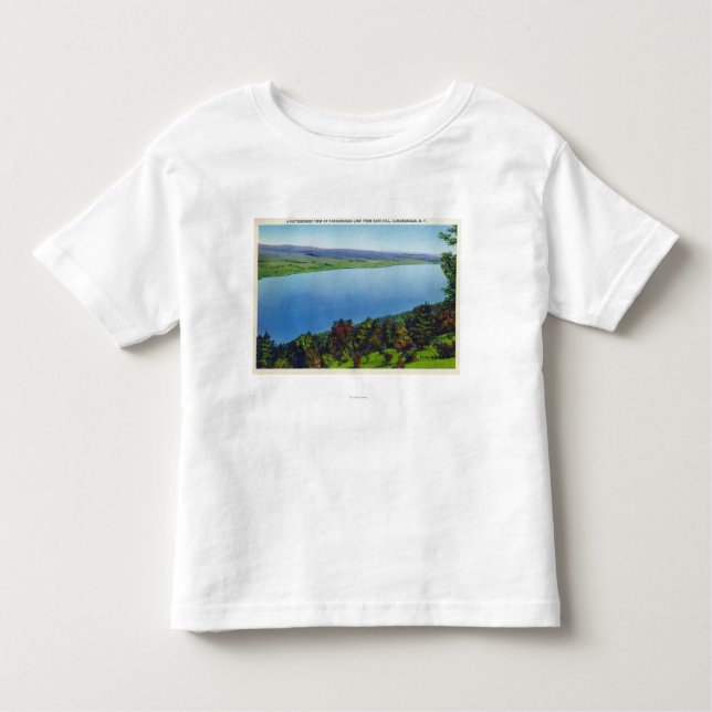 Camiseta De Bebé Opinión desnuda de la colina del lago Canandaigua (Anverso)