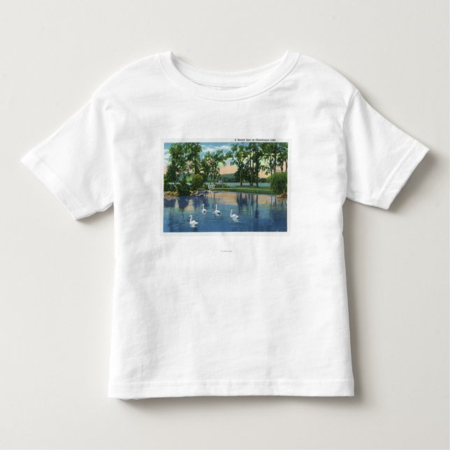 Camiseta De Bebé Opinión escénica cisnes en el lago (Anverso)
